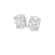 Oval Lab Diamond Studs