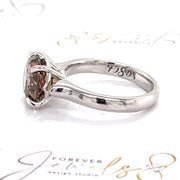 Cognac Zircon White Gold Ring - ForeverJewels Design Studio 8